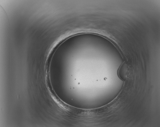 X0000060231511200511041217