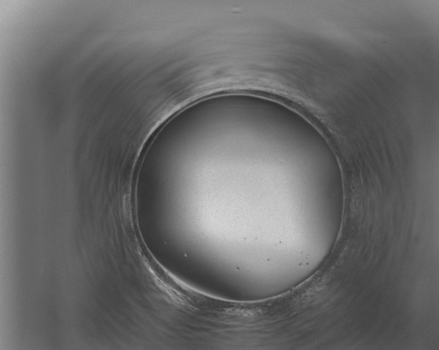 X0000060231513200511041217