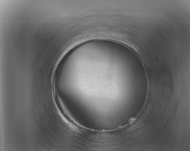 X0000060231515200511041217