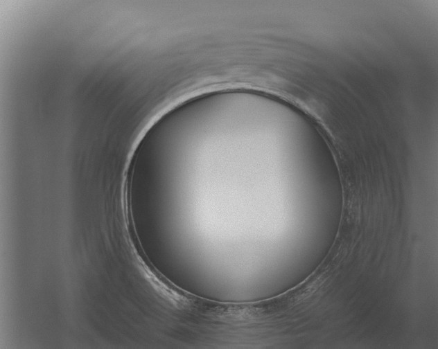 X0000060231516200511041217