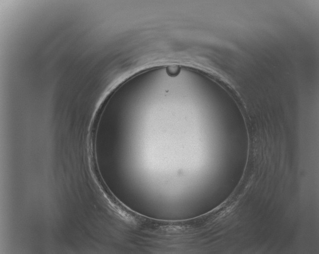 X0000060231517200511041217