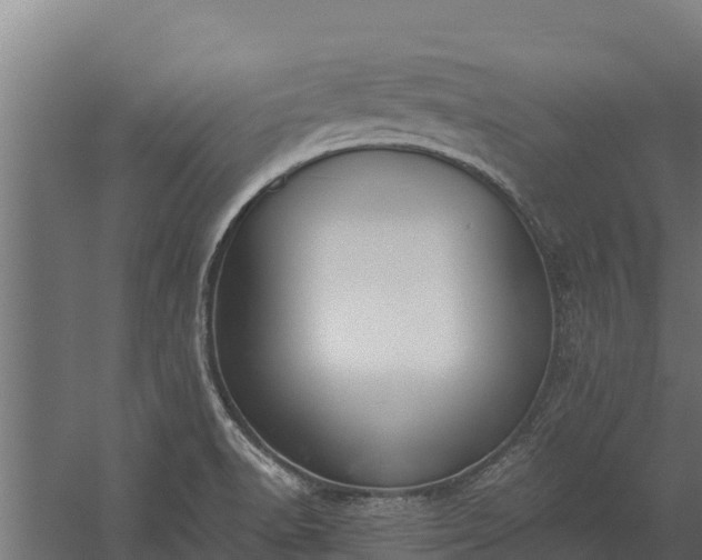 X0000060231518200511041217