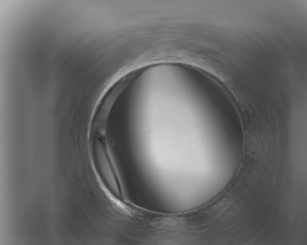 X0000060231519200511041217