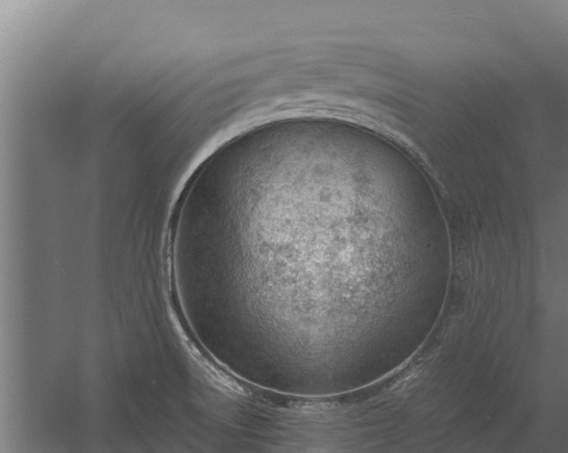 X0000060231522200511041217