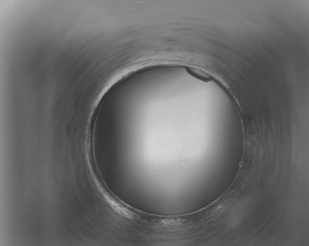 X0000060231523200511041217