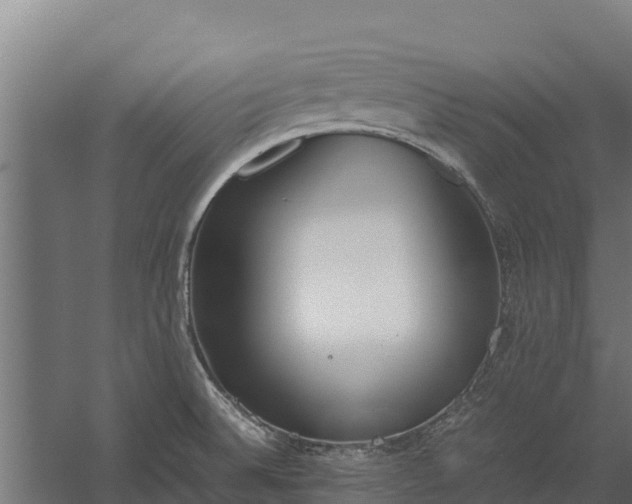 X0000060231524200511041217