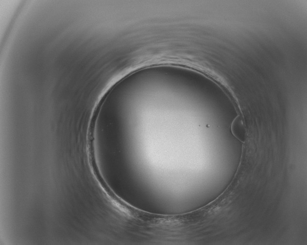 X0000060231525200511041217