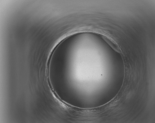 X0000060231527200511041217