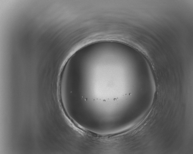 X0000060231528200511041217