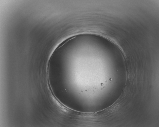 X0000060231532200511041217