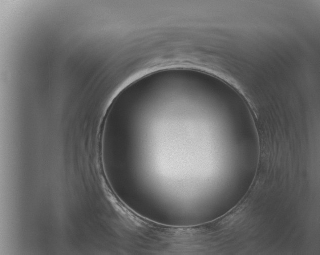 X0000060231534200511041217