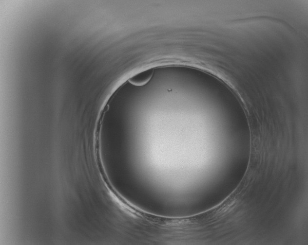 X0000060231535200511041217