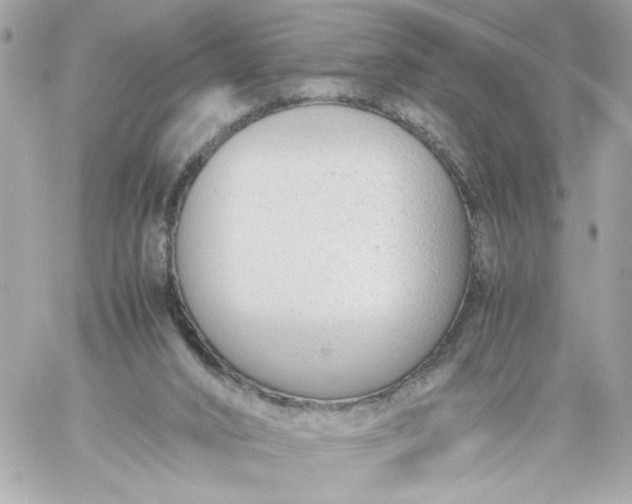 X0000060230016200511111915