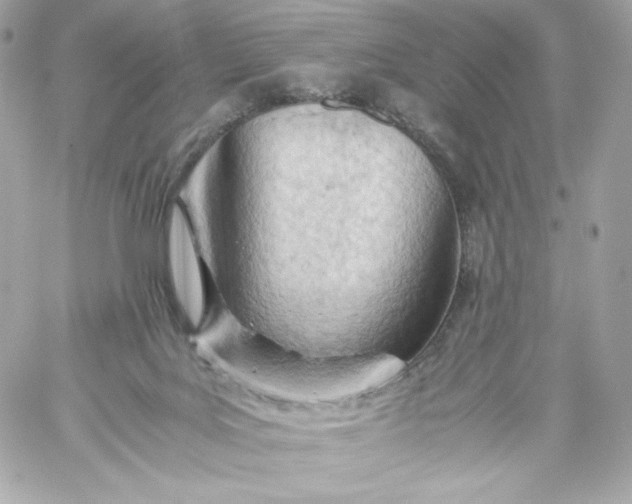 X0000060230027200511111915