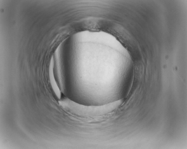 X0000060230035200511111915