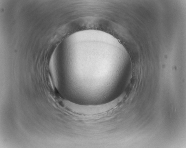 X0000060230039200511111915
