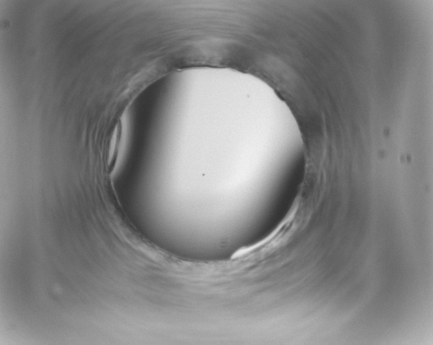 X0000060230045200511111915