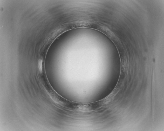 X0000060230070200511111914