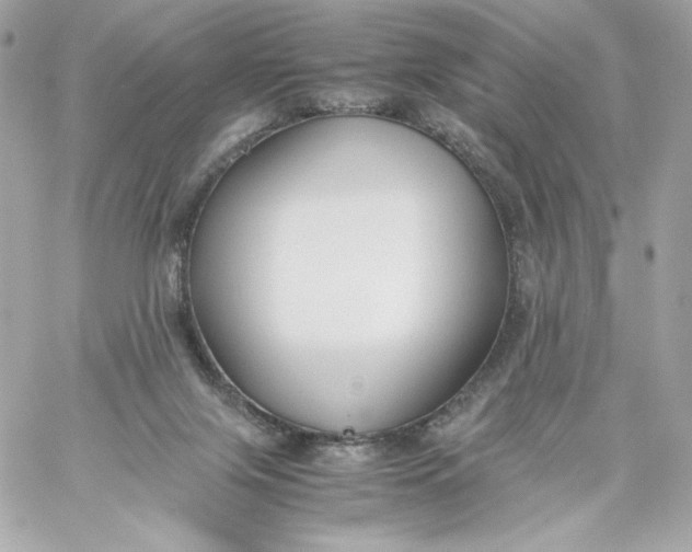 X0000060230071200511111914