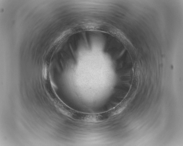 X0000060230076200511111914