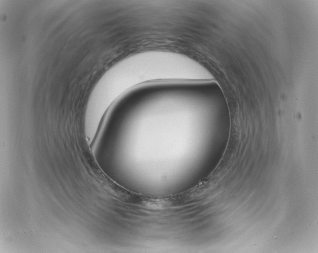 X0000060230079200511111914