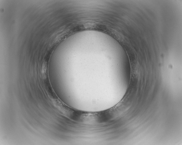 X0000060230082200511111914