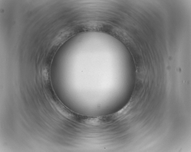 X0000060230086200511111914