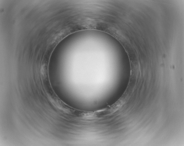 X0000060230088200511111914