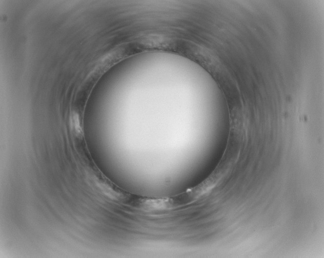 X0000060230089200511111914