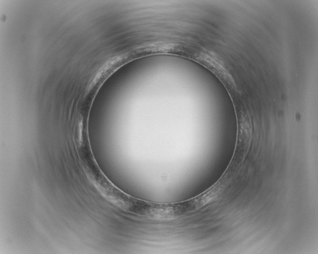 X0000060230110200511111914