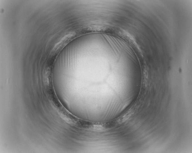 X0000060230114200511111913