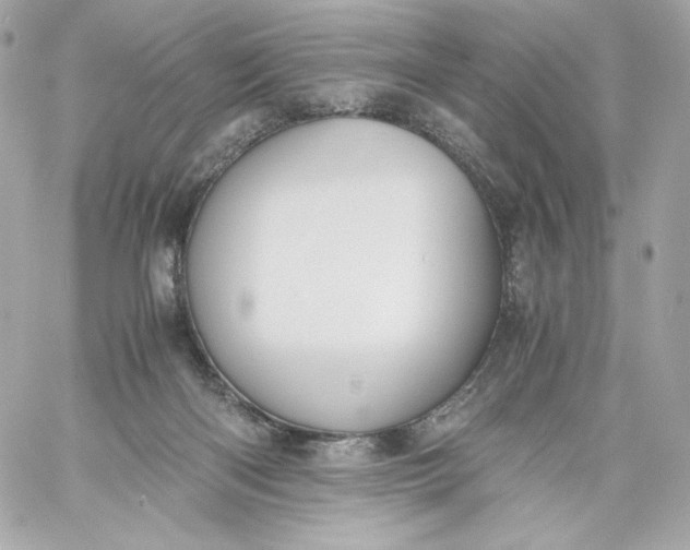 X0000060230122200511111913