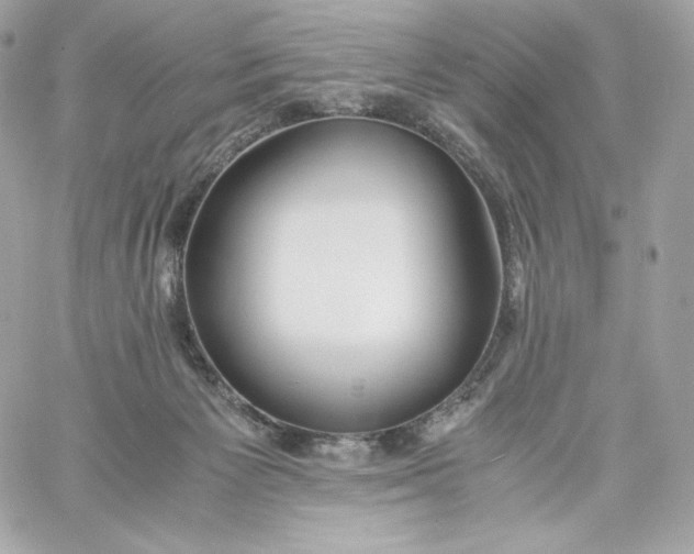 X0000060230125200511111913