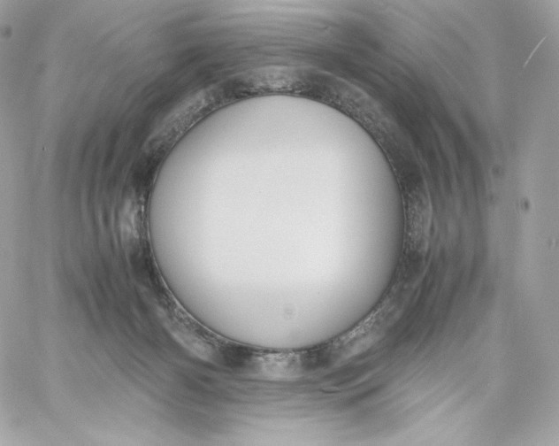 X0000060230126200511111913