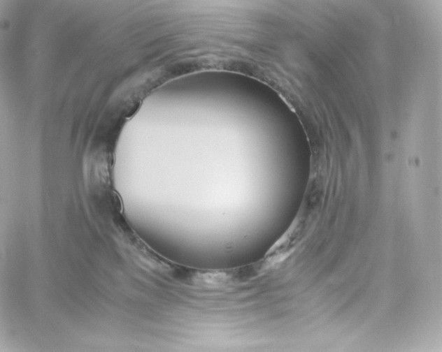 X0000060230137200511111913