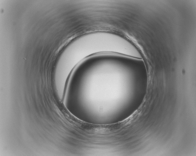 X0000060230154200511111912