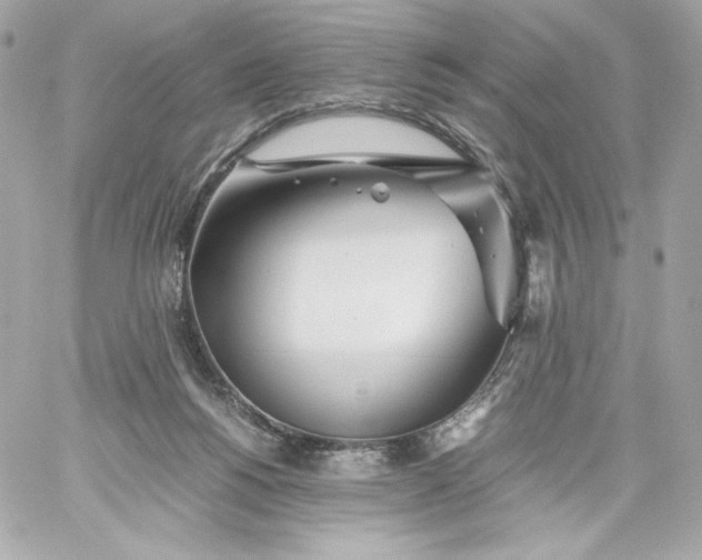 X0000060230168200511111913