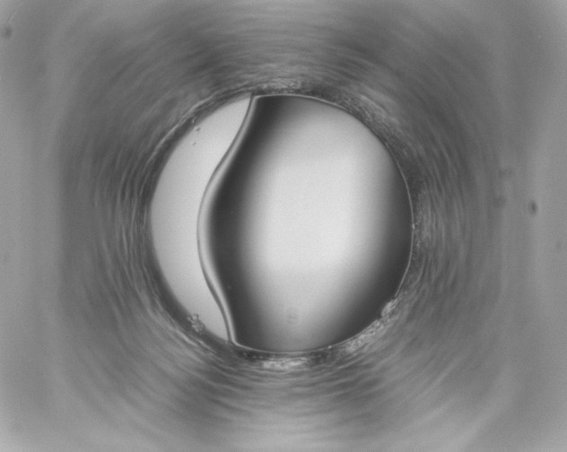 X0000060230172200511111913