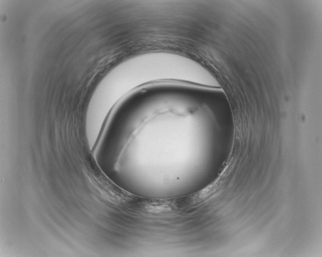 X0000060230175200511111913