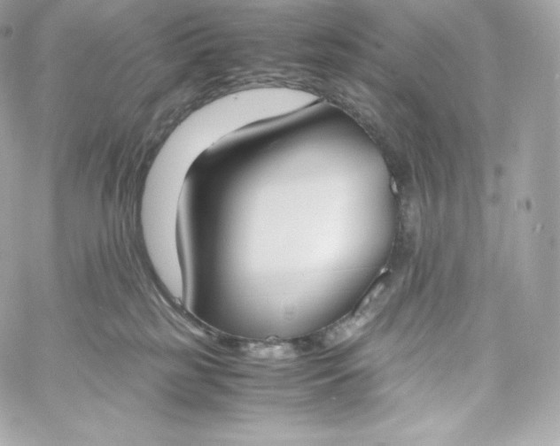 X0000060230185200511111913