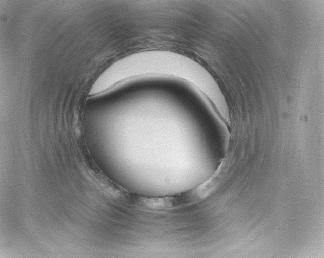 X0000060230187200511111913