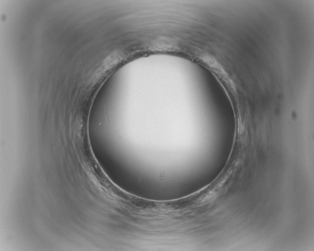 X0000060230201200511111912
