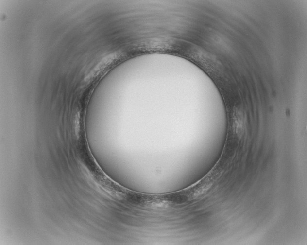 X0000060230206200511111912