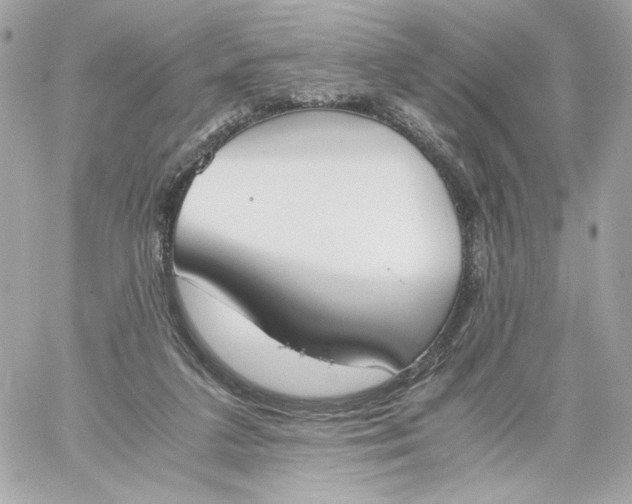 X0000060230211200511111912