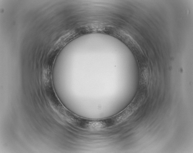 X0000060230218200511111912
