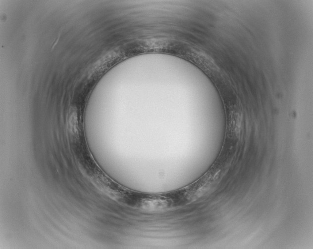 X0000060230220200511111912