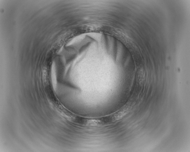 X0000060230222200511111912