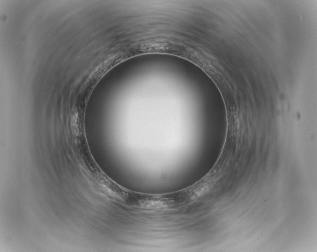 X0000060230224200511111912
