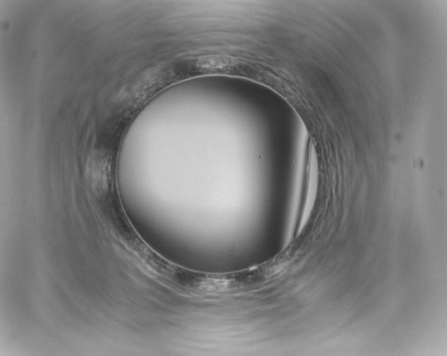 X0000060230227200511111912