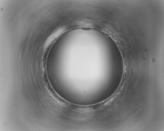 X0000060230245200511111911